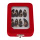 thumbnail image 5 of 8 Selecciones de Gu Zheng Nails para Los Jugadores de Cítara, Practican El Rendimiento - Pequeña Gloria Guzheng Finger Picks, 5 of 8