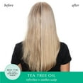 Hask Tea Tree Oil & Rosemary Invigorating Hair & Scalp Treatment Mask