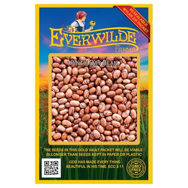 Everwilde Farms 100 Pinto Dry Bean Seeds Gold Vault Jumbo Bulk Seed