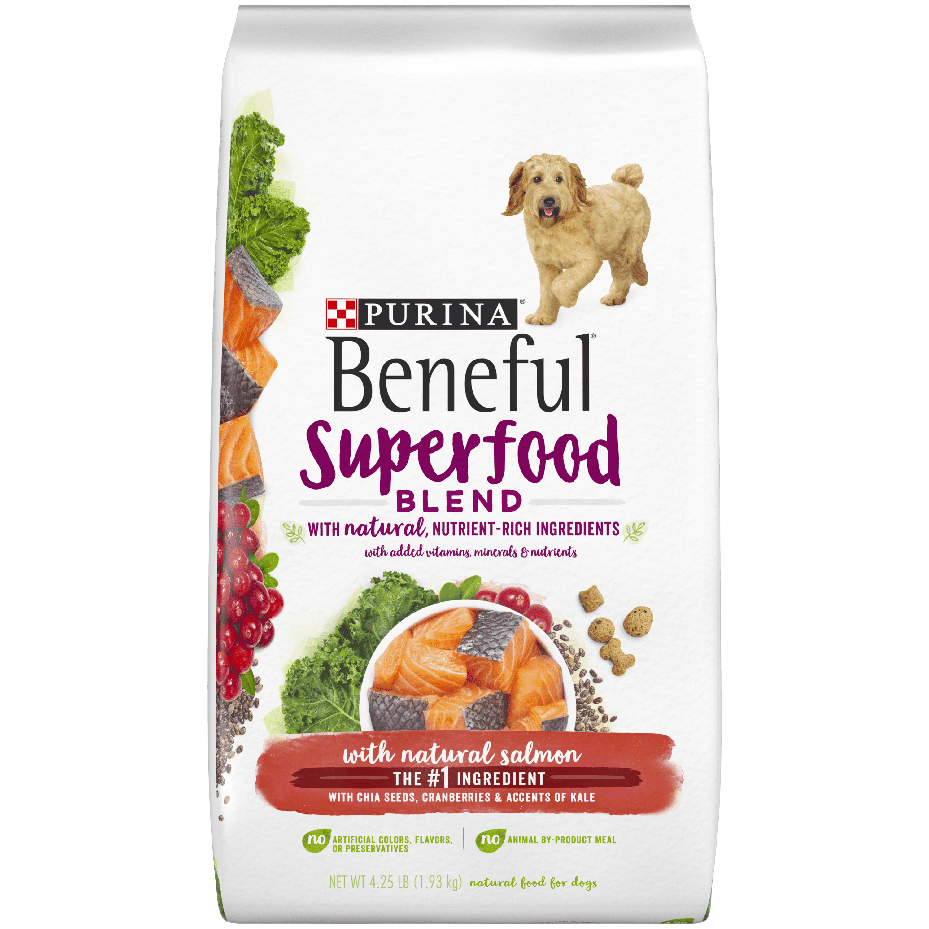 research dry dog food