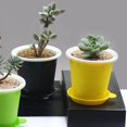 thumbnail image 5 of Limei Plastic Orchid Pots with Holes,Decorative Planter Pots for Indoor Outdoor Flower Plants,Herbs,Snake Plants and Succulents, 5 of 7