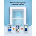 thumbnail image 5 of AstroAI Mini Fridge, Compact Refrigerator, Makeup Skincare Fridge 6L 8 Cans Portable Personal Cooler, 110V AC/12V DC Portable Thermoelectric Cooler and Warmer Fridge for Bedroom, Car, Gift for Dad, 5 of 8