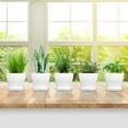 thumbnail image 6 of 8Pack Plastic Planters with Drainage Hole and Tray,Modern Flower Pot,White Seedling Pots,Indoor Succulent Plants Container,Thickened Nursery Pots,for House Outdoor Plants 4.8inch, 6 of 6