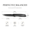 thumbnail image 3 of FXXNNN Steak Knives, 10PC German High Carbon Stainless Steel Steak Knives, Serrated Blades, Dishwasher Safe, Comfortable Non-Slip Ergonomic Knife Handle, 3 of 9
