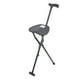 thumbnail image 1 of Taburete Plegable De Caña, Bastones Plegables Multifunción De Durabilidad Con Asiento Para Acampar, 1 of 7