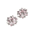 thumbnail image 1 of serony 2 Pcs Pinces à Chaussures en Strass Boucle de Bijou Cristal Robe de Mariée Diamant, 1 of 7