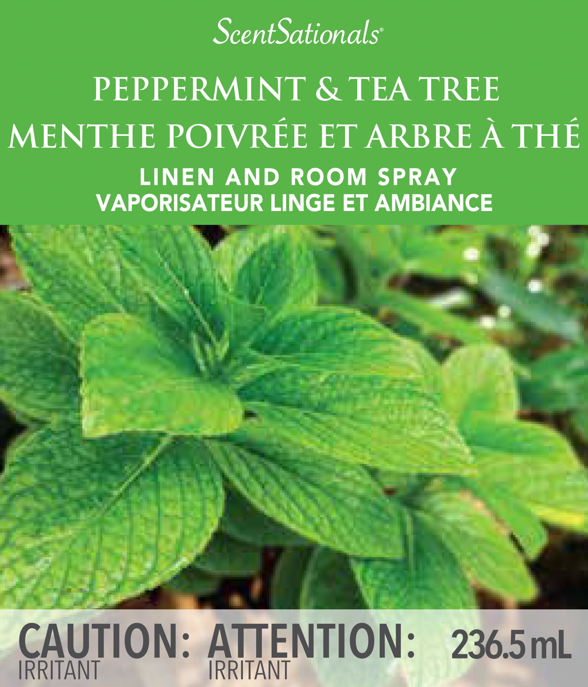 Scentsationals Room Spray Peppermint & Tea Tree