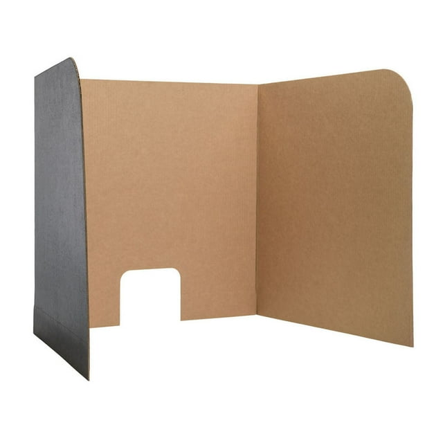 FLIPSIDE PRODUCTS COMPUTER LAB PRIVACY SCREEN SM 12PK 61857