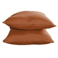thumbnail image 2 of Sunbrella Designer Set of 2 15" Decorative Pillows, 2 of 5