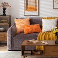 thumbnail image 5 of Oceanwell New Plush 3D Pumpkin Throw Pillows Covers - Fall/Christmas/Thanksgiving Decor, Cozy Textured Cushions for Couch/Bed,F,50X30cm, 5 of 7