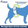thumbnail image 5 of Disposable Dog Wraps for Male Dogs Premium Quality Adjustable Super Absorbent Diapers with Leak Proof Fit, Best Comfort Fit (S), 48, 5 of 5