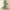Green #2, variant on onlyliua Summer Saving Clearance Drsses Women's Maxi Dresses Solid Cotton Linen Button Lapel Long Sleeves Midi Dress Summer Daily Casual Sundress with Pockets and Belts