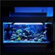thumbnail image 2 of Advancent Timing Goldfish Lamp Aquarium Light con luz de buceo con control remoto Iluminación novedosa No. 4 Advancent HA026919-04, 2 of 6