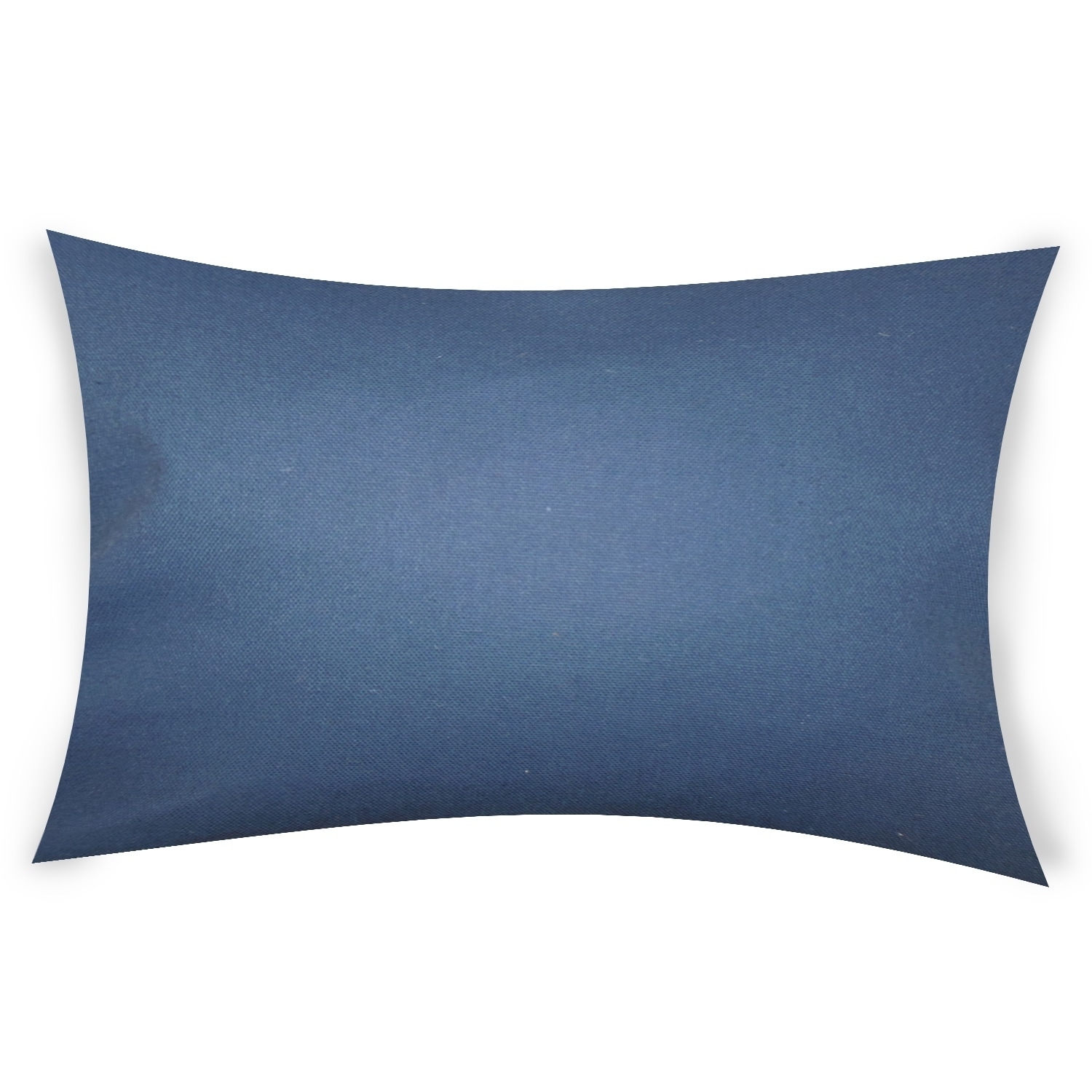 The Pillow Collection Cynthia Lumbar Throw Pillow