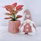 thumbnail image 4 of Wmhnj Muñeco de pareja tejido sin rostro con rosa y corazn, decoracin para el hogar, ideal para el Da de San Valentn. Adorno de lana hecho a mano. Sombrero ajustable para exhibir en la mesa., 4 of 7