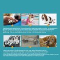 thumbnail image 1 of Dog Boots Dog Booties Outdoor Dog Shoes with Rugged Anti-Slip Sole for Medium Dogs, 1 of 7
