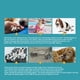 thumbnail image 3 of Botas Para Perros Botines Para Perros Zapatos Para Perros Al Aire Libre Con Suela Antideslizante Resistente Para Perros Medianos Noticed PT002619-11, 3 of 6