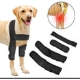 thumbnail image 5 of Soporte para perro para codo y hombro canino, protector de codo para perro, rodillera para perro, displasia, osteoartritis, callos de codo, llagas por presión (pequeño), 5 of 5