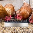 thumbnail image 1 of Comedero para pollos, bandeja de alimentación para aves de corral, dispensador de alimento para con múltiples orificios, bebedero para pavos, 40 cm x 11 cm x 45 cm, 1 of 10