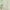 Vintage Flowers/Green, variant on NICETOWN Floral Curtains for Living Room, Semi Sheer Linen Curtains Light Filtering Farmhouse Back Tab Window Drapes, Blue, 52"x84", 2 Panels