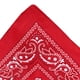 thumbnail image 3 of Advancent Bufanda pequeña cuadrada de moda Hip hop Cool Guy mujeres hombres impresión cabeza envoltura rap estrella pañuelo cuello lazo para el pelo Accesorios para máquinas de ejercicios Rojo Advancent JJ15373-01, 3 of 6