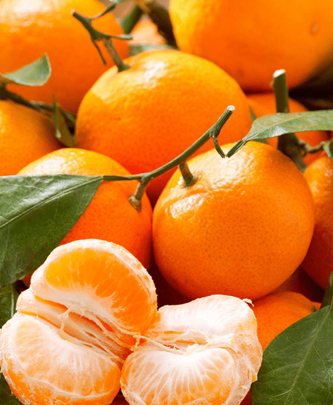 Fresh Tangerine, Each