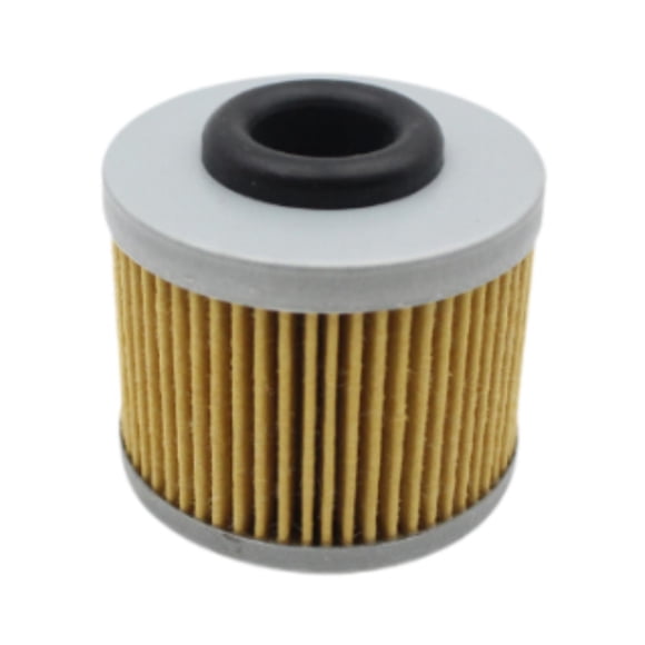 Reemplazo De Filtrado De Aceite 8000B5425 Para MV Agusta 800 2013-2016
