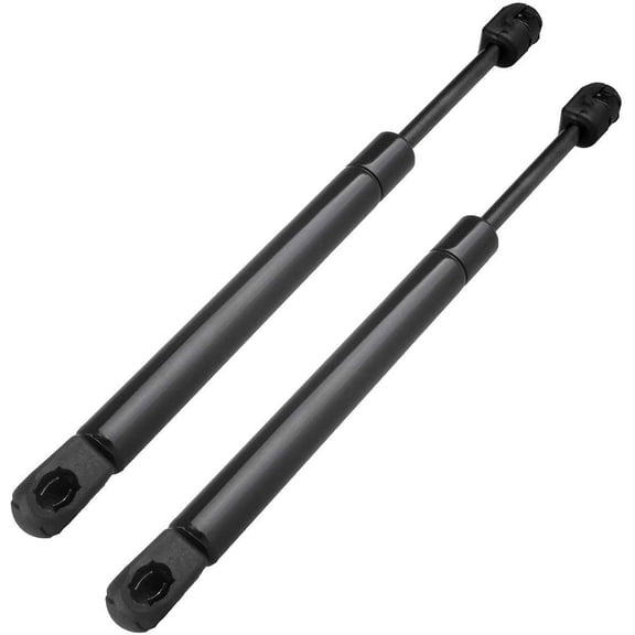 ECCPP Rear left and right Trunk Lift Support Fit for 2005-2010 for Ford Focus Replaces 6436 PM1131 2pcs
