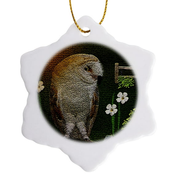 3drose, Barn Owl, 3 inch Snowflake Porcelain Ornament