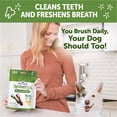 thumbnail image 6 of WHIMZEES By Wellness Variety Tub Grain Free Dental Treats for Dogs, Medium, 14 Count, 6 of 9