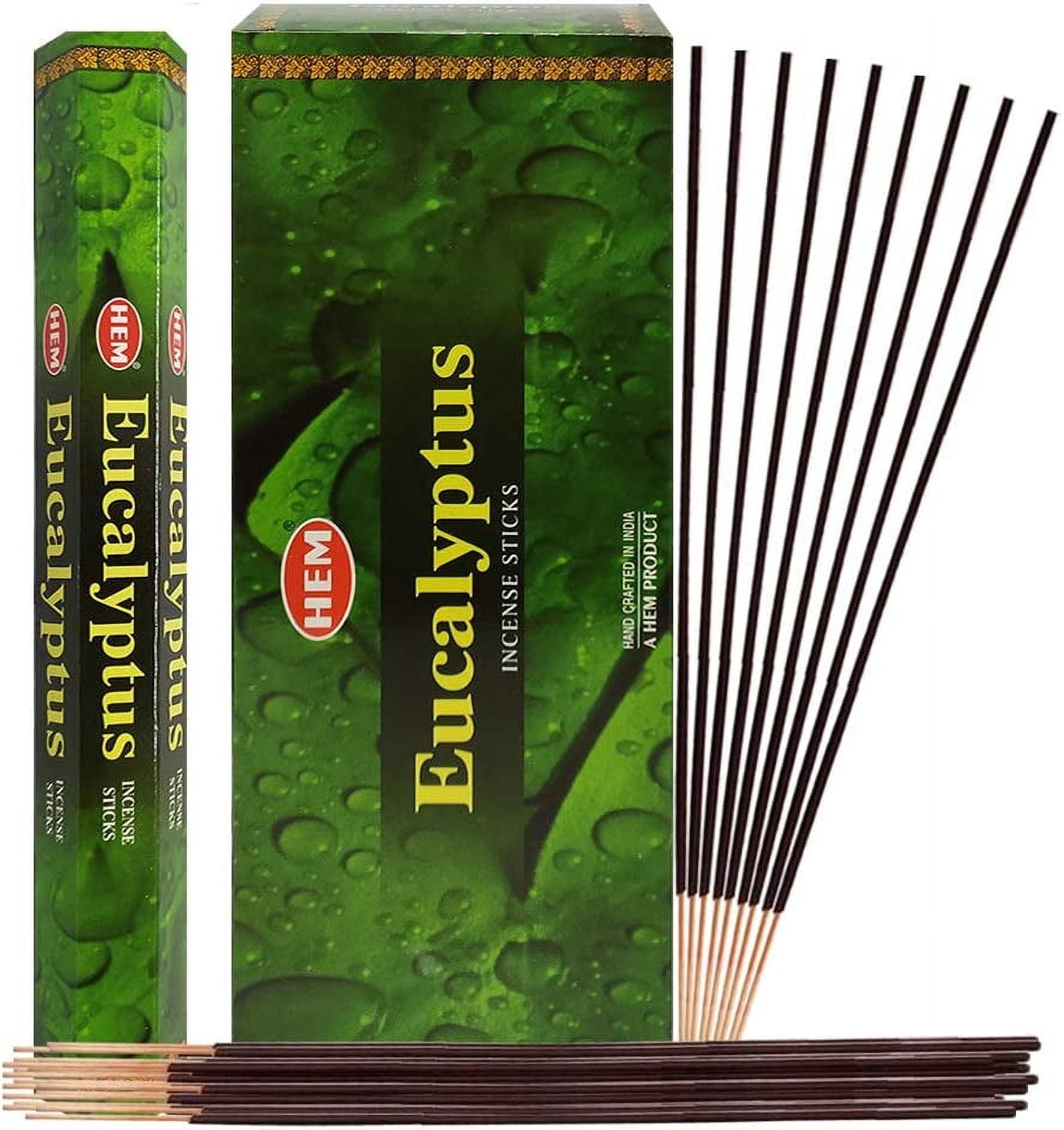 Eucalyptus Incense Sticks and Incense Stick Holder Bundle Insence Insense Hem Incense Sticks
