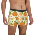 thumbnail image 5 of Men's Boxer Briefs, Juicy Orange Green Leaves Soft Comfy Mens Underwear Boxer Briefs Breathable With Widen Waist, 5 of 7