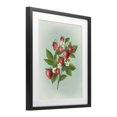 thumbnail image 2 of Stupell Industries Traditional Vintage Strawberry Bundle Black Framed Print Under Glass, 13 x 16, by Diane Neukirch, 2 of 8