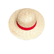 One Piece Monkey D. Luffy Hat