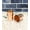 Plain, variant on SHINDE EXPORTS pure copper glass set of 2 for drinking water 250ml (2, Plain)