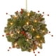 thumbnail image 1 of Bola de Besos de Navidad Preiluminado con Decoraciones Mixtas Abeto de Montaña 12pulg Artificial National Tree Company GLM1-300-12KBC1, 1 of 2