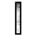 thumbnail image 2 of ArtToFrames 4" x 31" Colonial Onyx Picture Frame, 4x31 inch Black MDF Poster Frame (WOM-4386),  Pack, 2 of 8