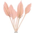 thumbnail image 1 of Uxcell 6-Park Hojas de Palma Secas 13.7x3.9 Abanicos de Palma Reales Secos Naturales para Bouquets de Boda Boho [Rosa], 1 of 7