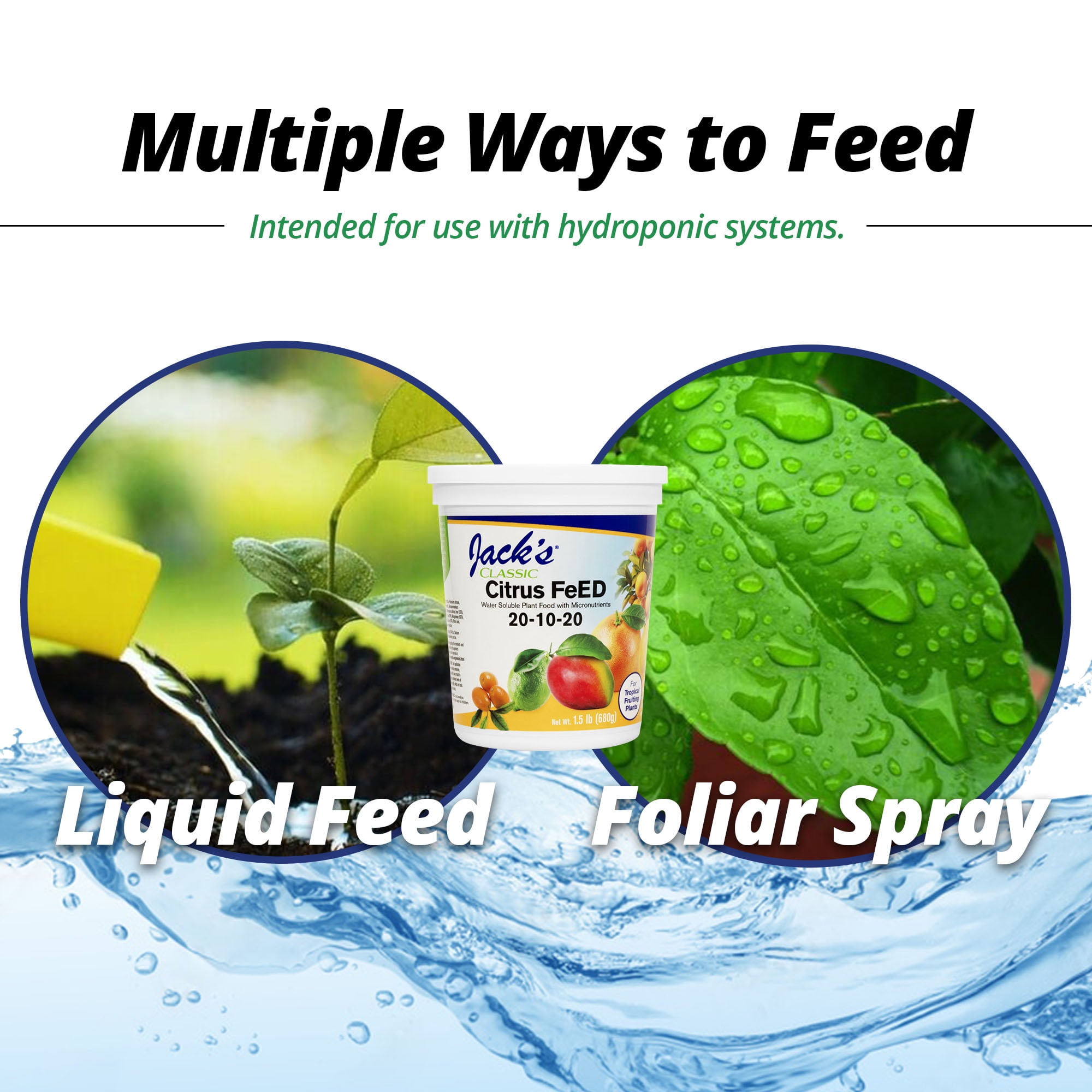 Jack's Classic 20-10-20 Citrus Food Water Soluble Fertilizer with Micronutrients to Provide Improved Growth and Fruiting in Tropical Plants, 1.5 Pounds