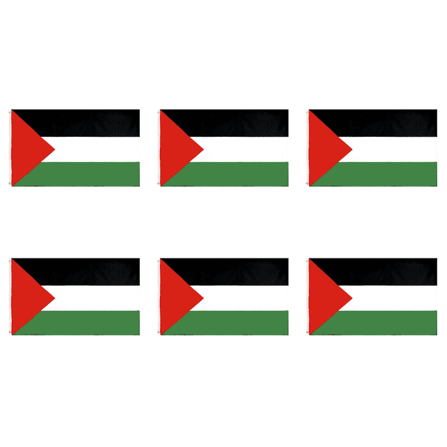 Banderas Palestinas Del País para Manifestaciones (60 * 90 Cm)