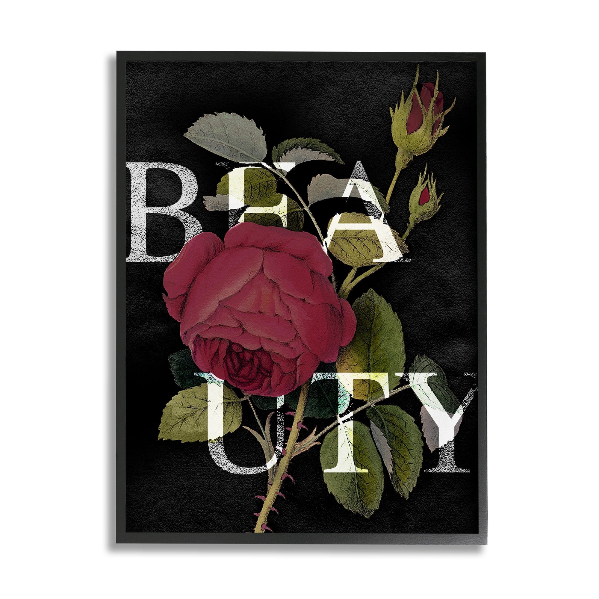 Stupell Industries Beauty Text over Vintage Red Thorned Rose Grey Framed, 11 x 14, Design by Daphne Polselli
