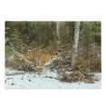 thumbnail image 1 of Safari Cutting Board, Bengal Tiger in Snowy Jungle Hunting and Cruising for Prey Furry Majestic Mammal, Decorative Tempered Glass Cutting and Serving Board, Large Size, Orange Green, by Ambesonne, 1 of 1