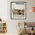 thumbnail image 3 of Historic Framed Print, Charleston South Carolina (vicinity). Fort, 17-7/8" x 21-7/8", 3 of 9