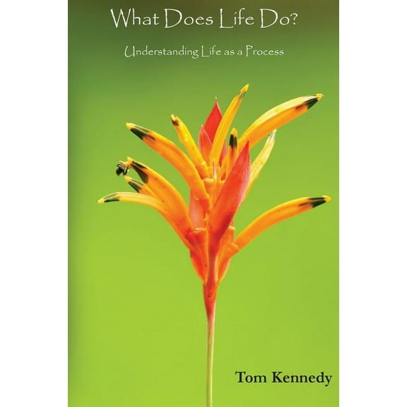 What Does Life Do?: Understanding Life as a Process, (Paperback)