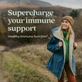 thumbnail image 3 of New Chapter Immune Defense Vitamin C + Elderberry, One Daily Tablet for Healthy Immune Support, 30 Veg Tabs, 3 of 8