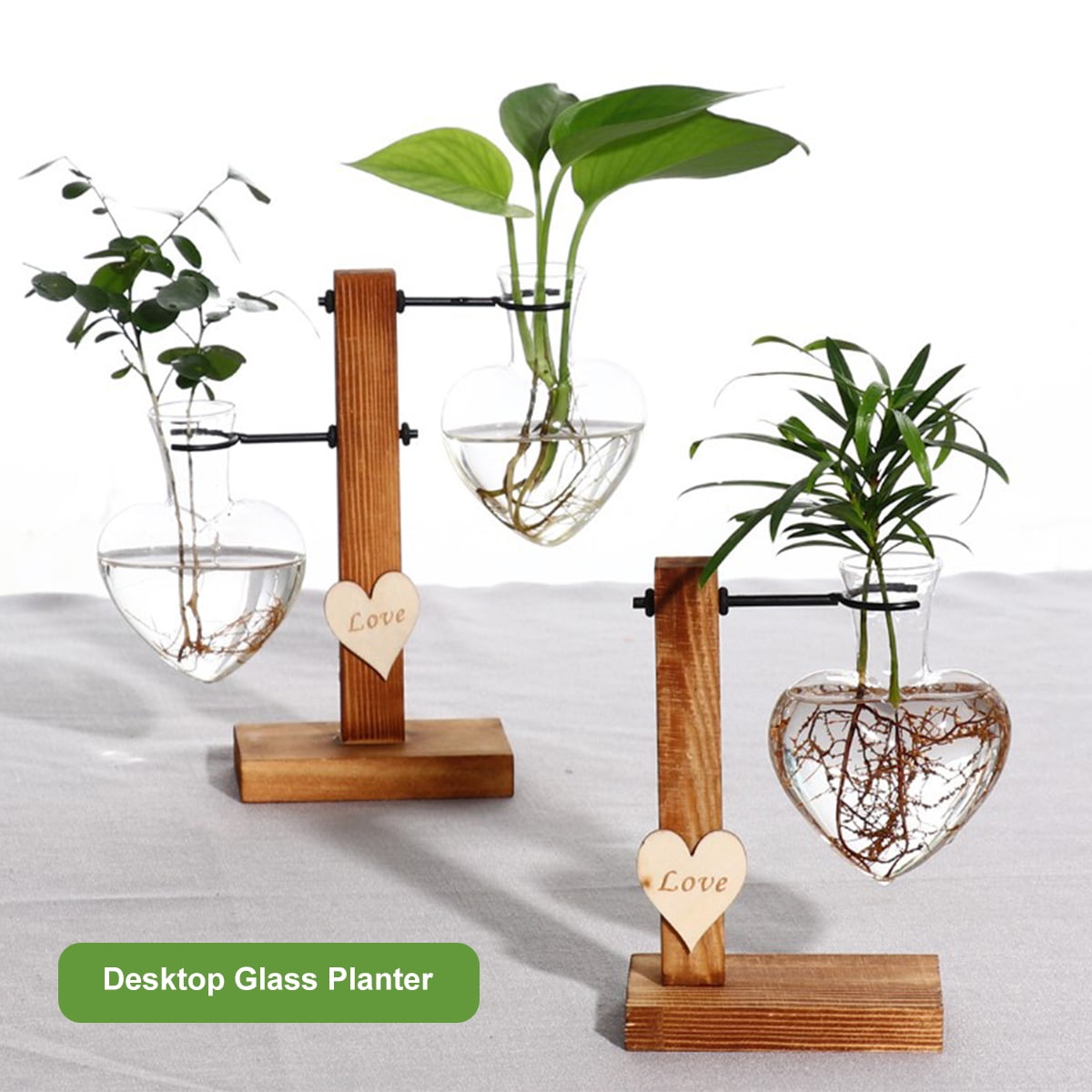 Glass Hydroponic Plant Flower Vases Wall Terrarium Container Stand Wooden Trays 