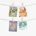 thumbnail image 5 of 2025 A Calendar of Uncommon Birds - Bird Watcher Monthly Wall Calendar Paper Calendar Organizing & P, 5 of 5