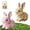 Mix-c, variant on Realistic Bunny Toy, Petsboro Bunny Pal, Easter My Realistic Bunnypal Toys, Bunbi Realistic Stuffed Animal, Bundy Robot Rabbit for Kids, Handmade Plush Interactive Bunnies Basket Stuffers (White2)