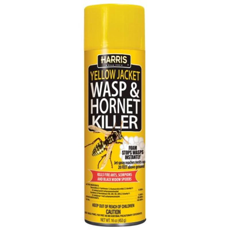 Foaming Wasp & Yellow Jacket Spray