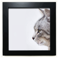 thumbnail image 1 of Animal bostezo Cat Simpol disparar Mesa de pared con marco cuadrado negro, 1 of 4